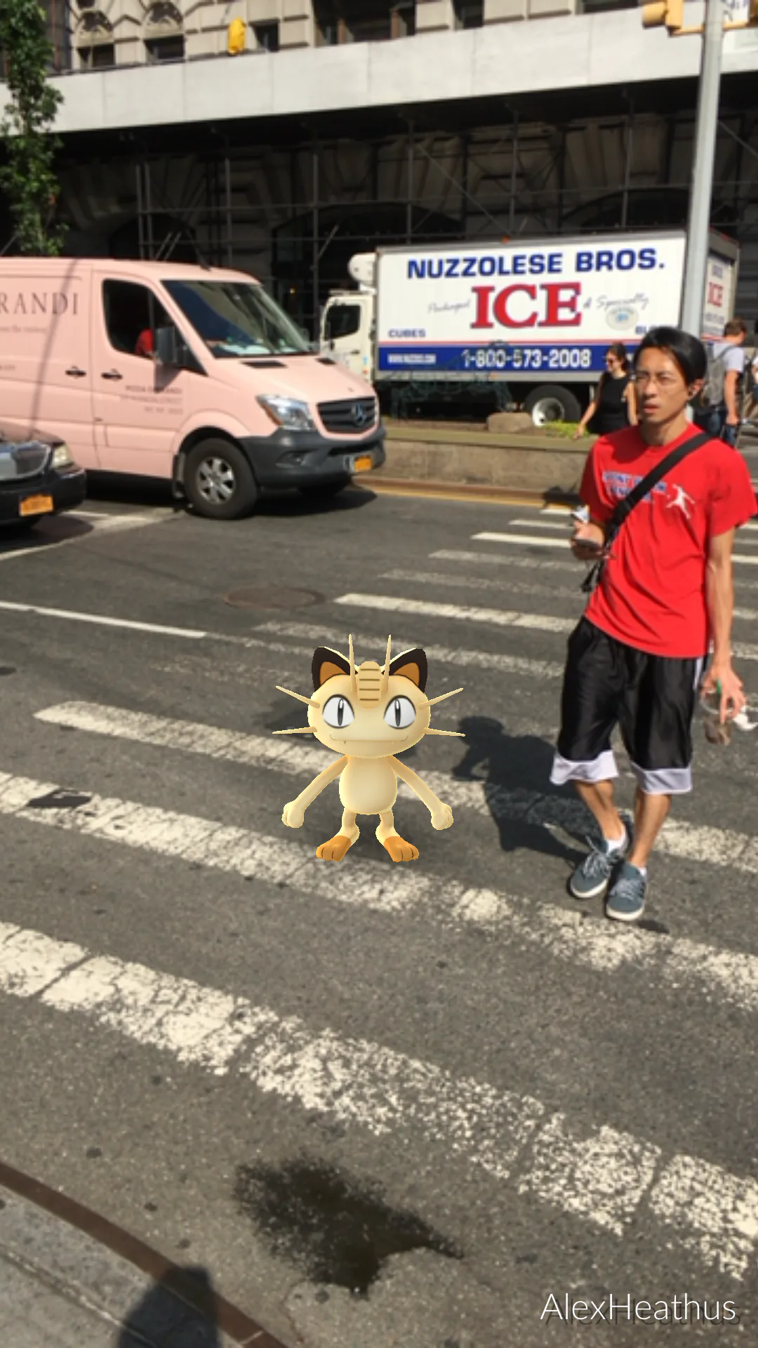 as-was-the-meowth