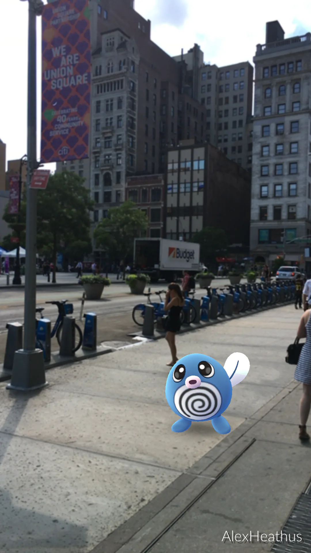 the-poliwag-was-exactly-where-the-map-said-it-would-be