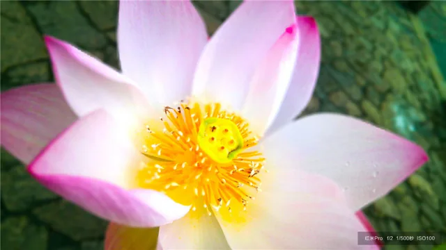 xiaomitrinhlangredmiprodautiencocamerakepchiploi10giachi5trieudong-4