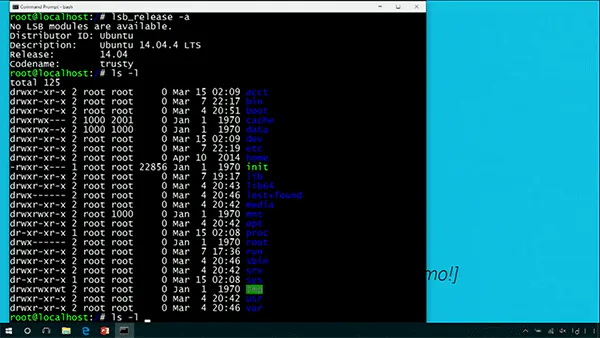Bash-on-Windows