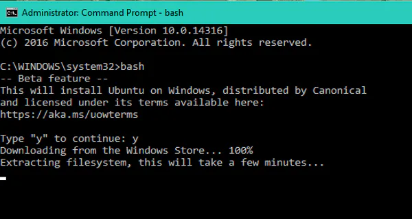 bash