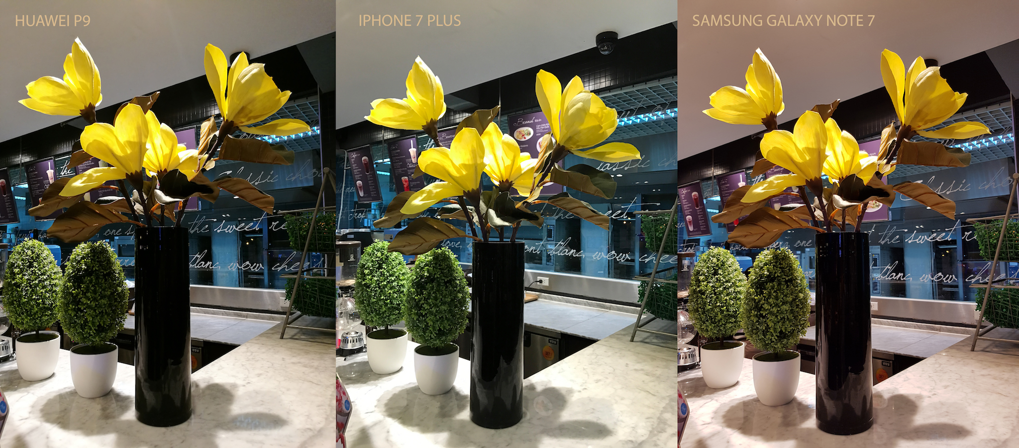 Xem thử ảnh chụp giữa Huawei P9, iPhone 7 Plus và Galaxy Note7