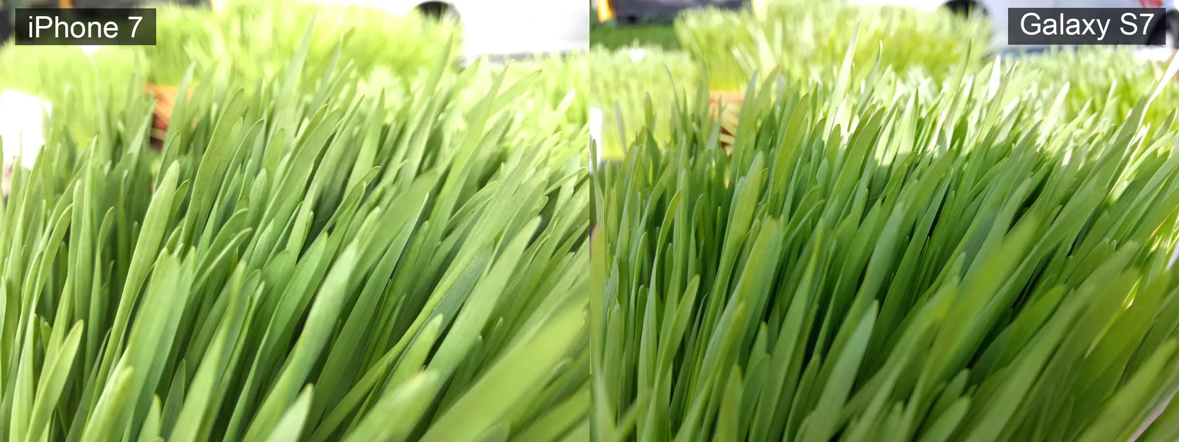 Camera của iPhone 7 không bằng Samsung Galaxy S7