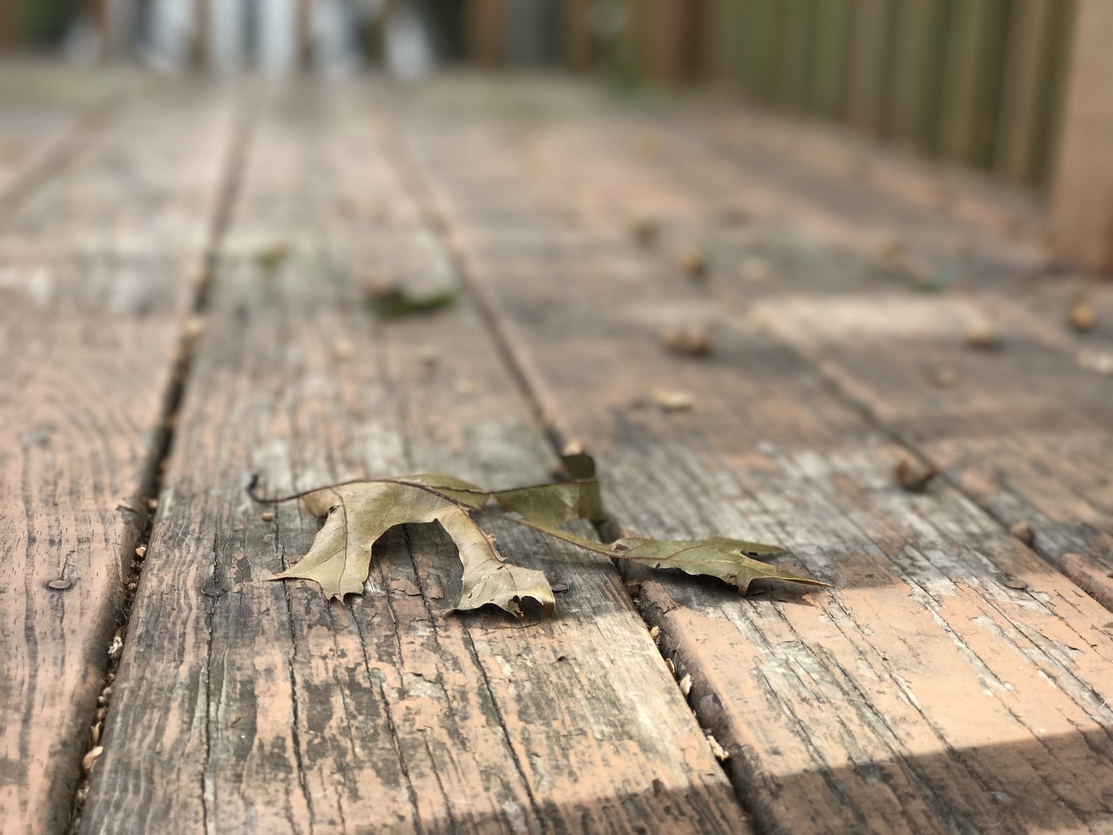 iphone-7-plus-dof-leaf[1]