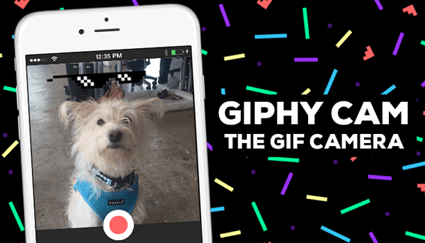 giphy[1]