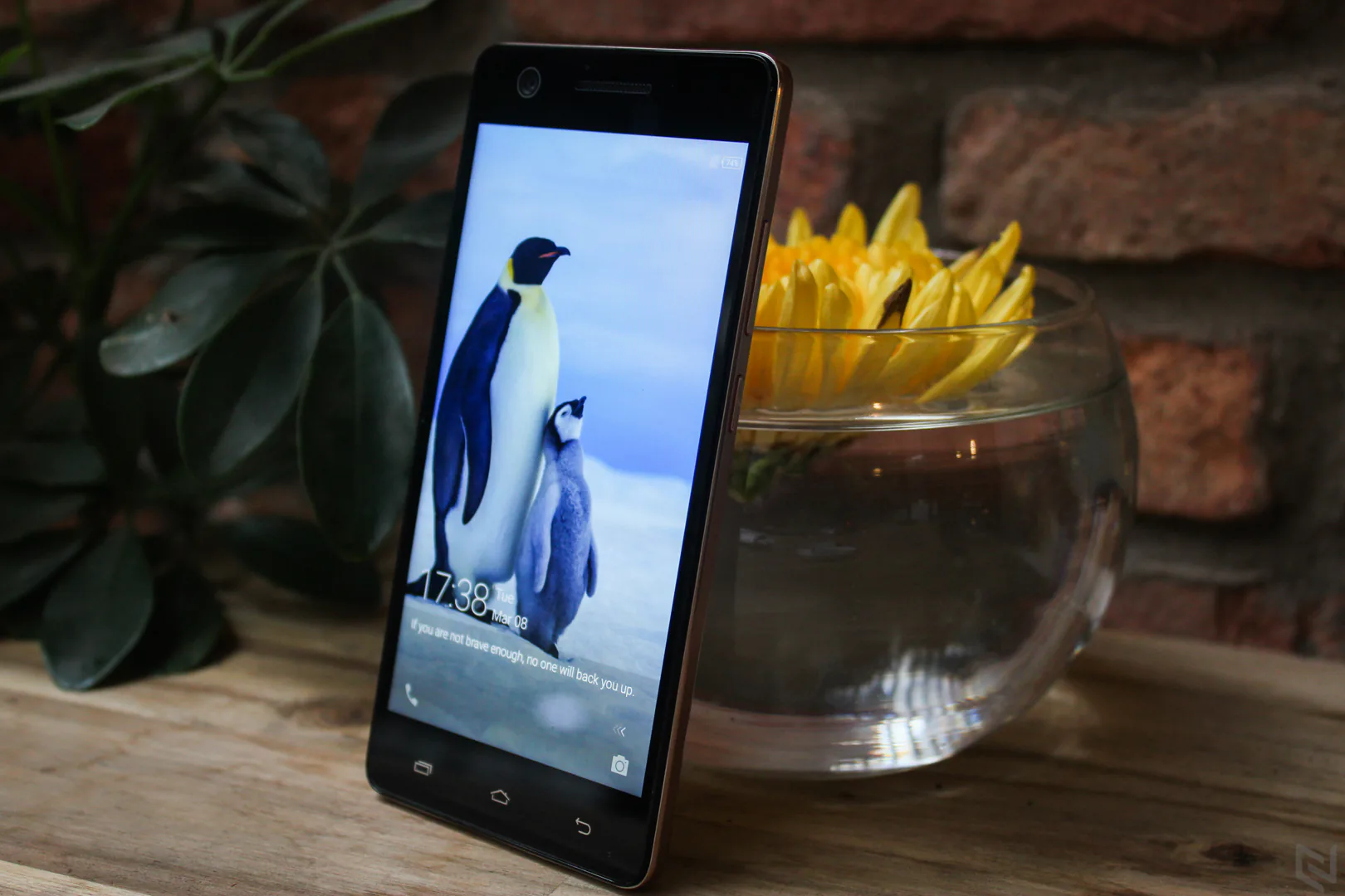 infinix hot s