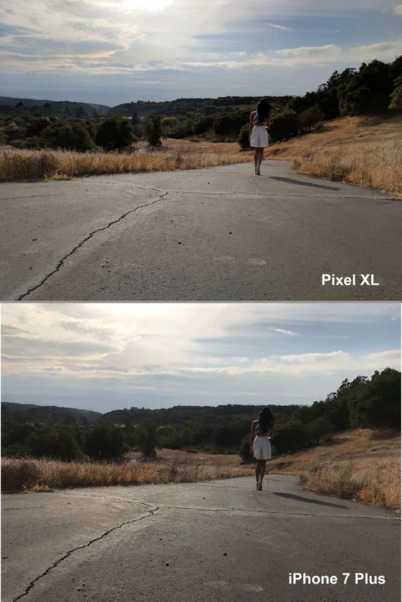 landscape-4