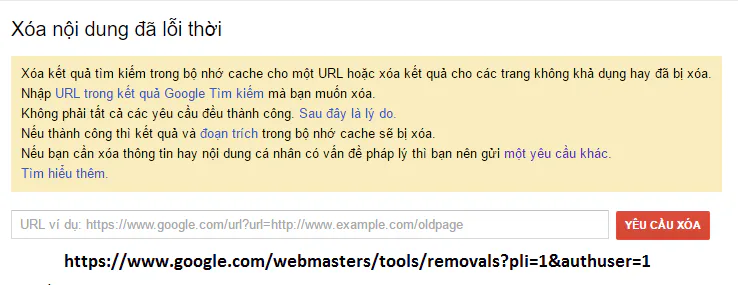 Công cụ xóa kết quả trả về của google