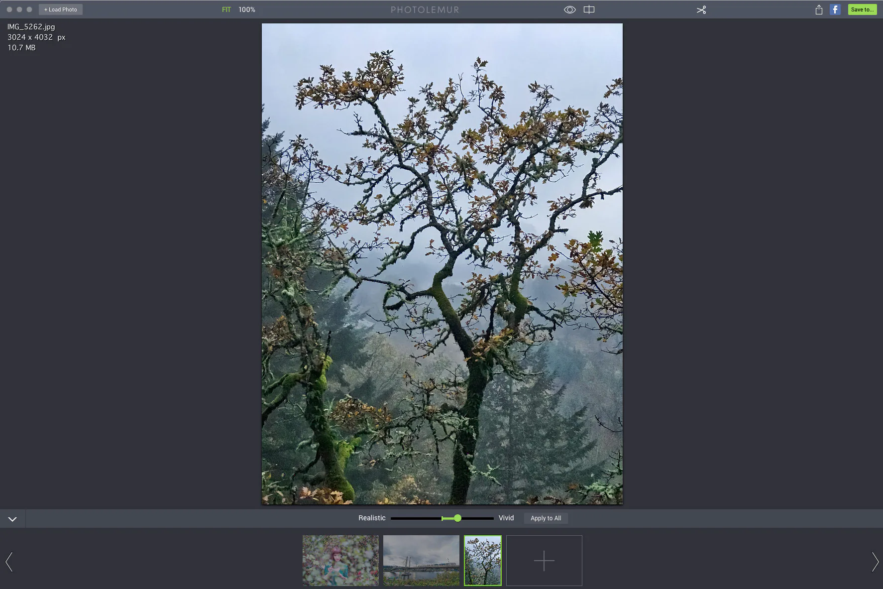 Photolemur sử dụng AI để tự động làm bức ảnh của bạn đẹp hơn
