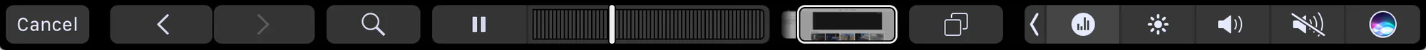 safari-with-video-playing