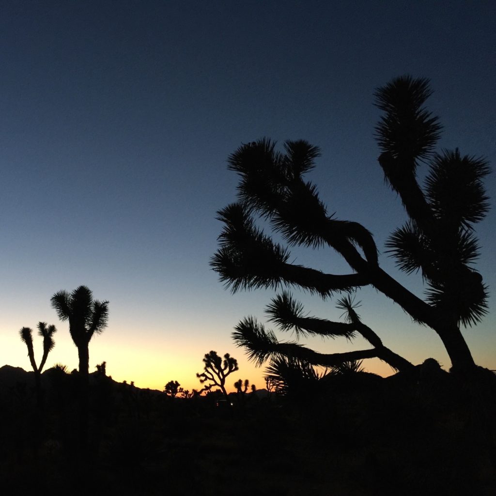 Desert-Night-iPad-Pro-1024x1024