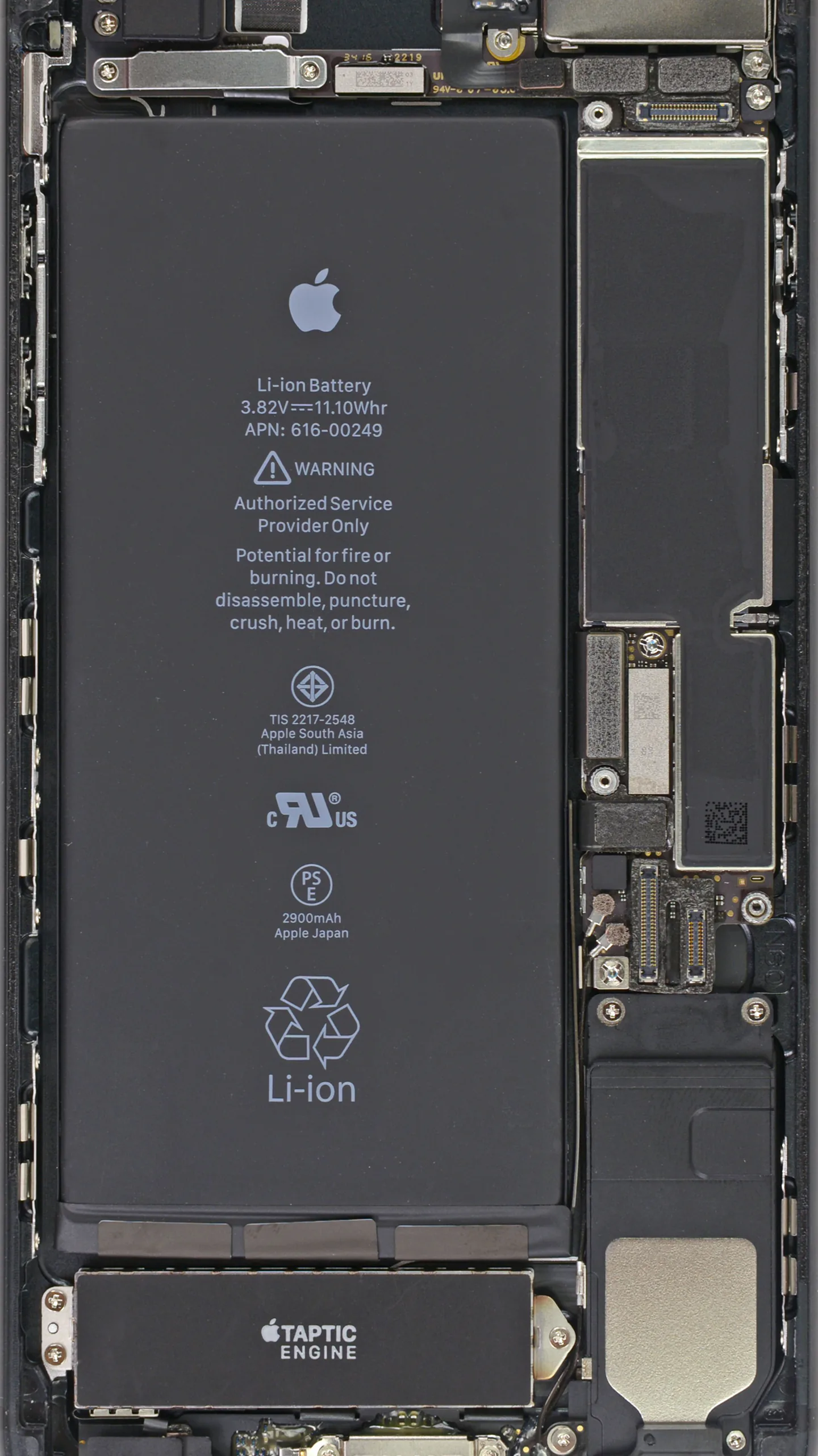 3943126_iPhone-7-Plus-internal-wallpaper