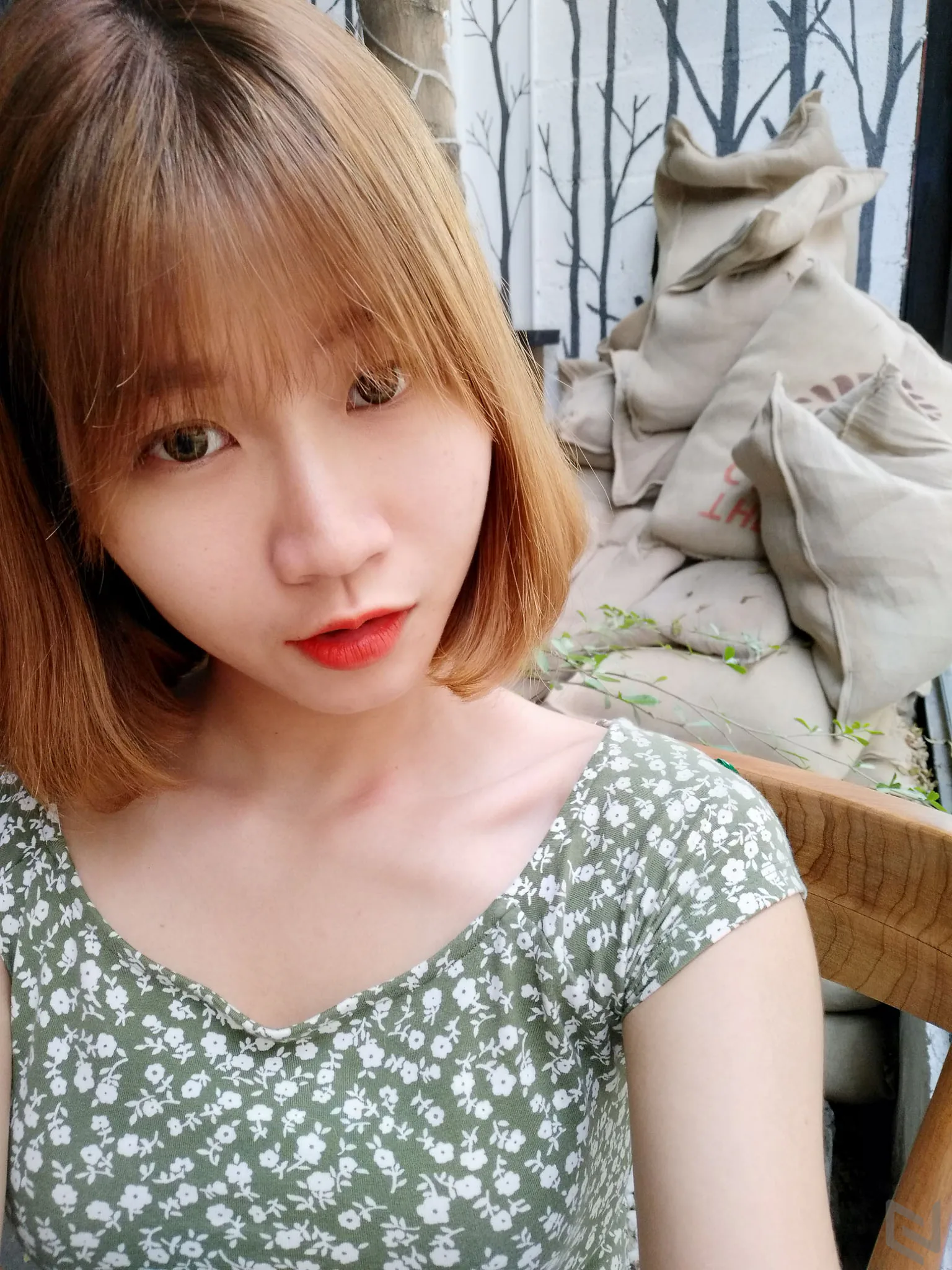 Trải nghiệm Selfie với hai camera trước trên Vivo V5 Plus