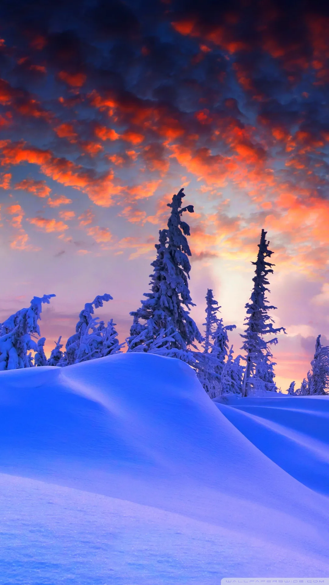 winter_christmas-wallpaper-1080x1920