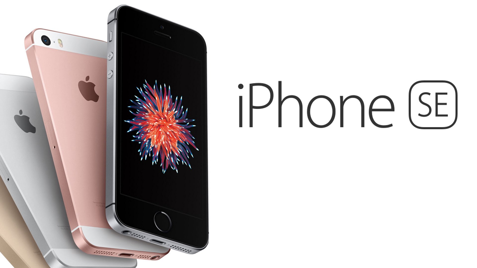 Apple tăng gấp đôi dung lượng bộ nhớ iPhone SE lên 32GB và 128GB