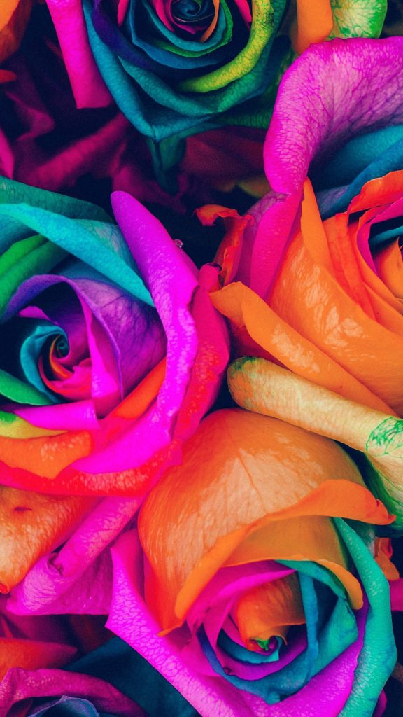 flower-rose-color-blue-rainbow-art-nature-34-iphone6-plus-wallpaper-576x1024