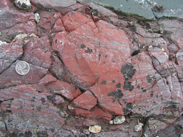 Đây là mẫu đá được tìm thấy tại Canada.