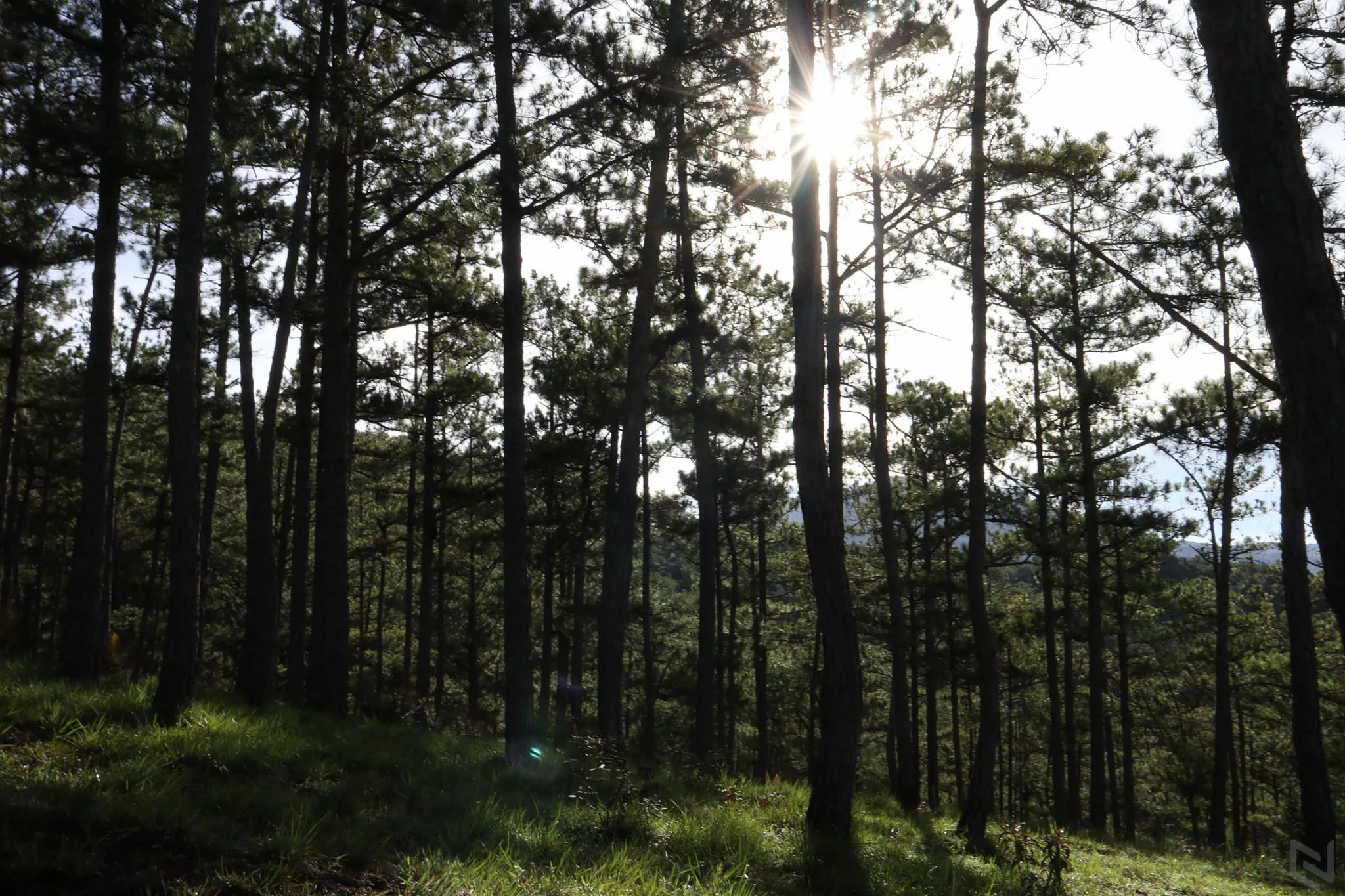 Đánh giá máy ảnh không gương lật Canon EOS M6