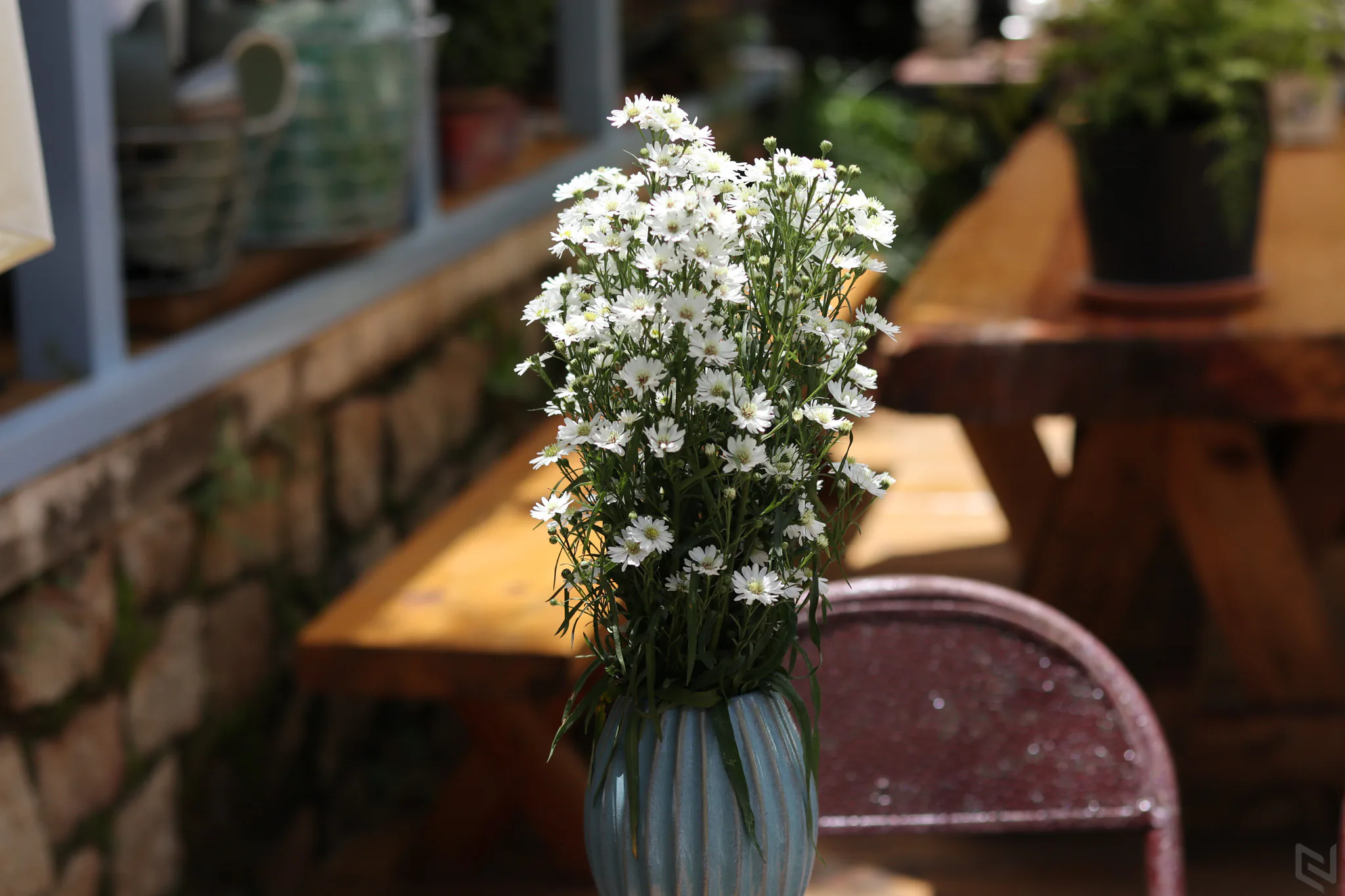 Đánh giá máy ảnh không gương lật Canon EOS M6