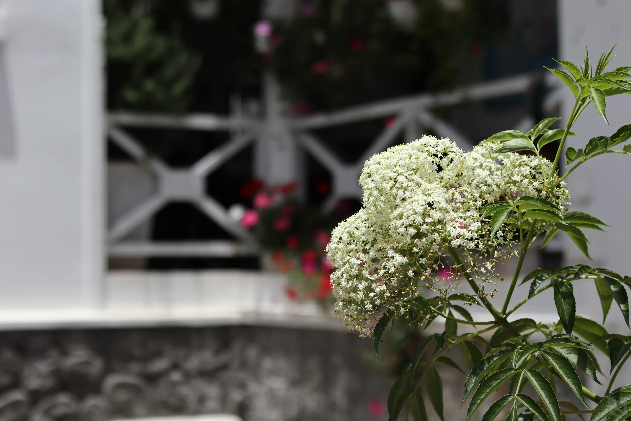 Đánh giá máy ảnh không gương lật Canon EOS M6