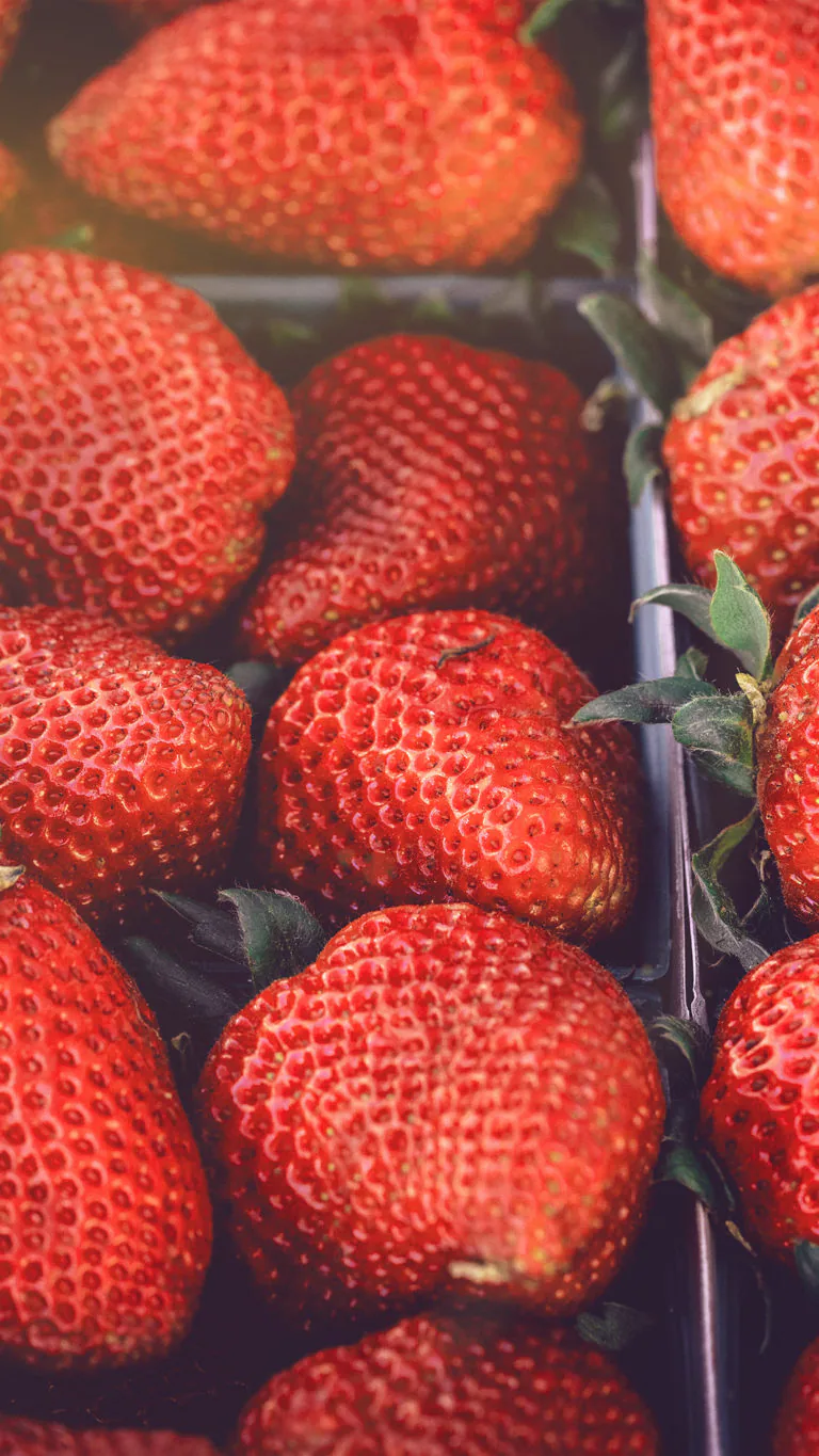 Wallpapers đẹp cho iDevice: "Red Inspiration"