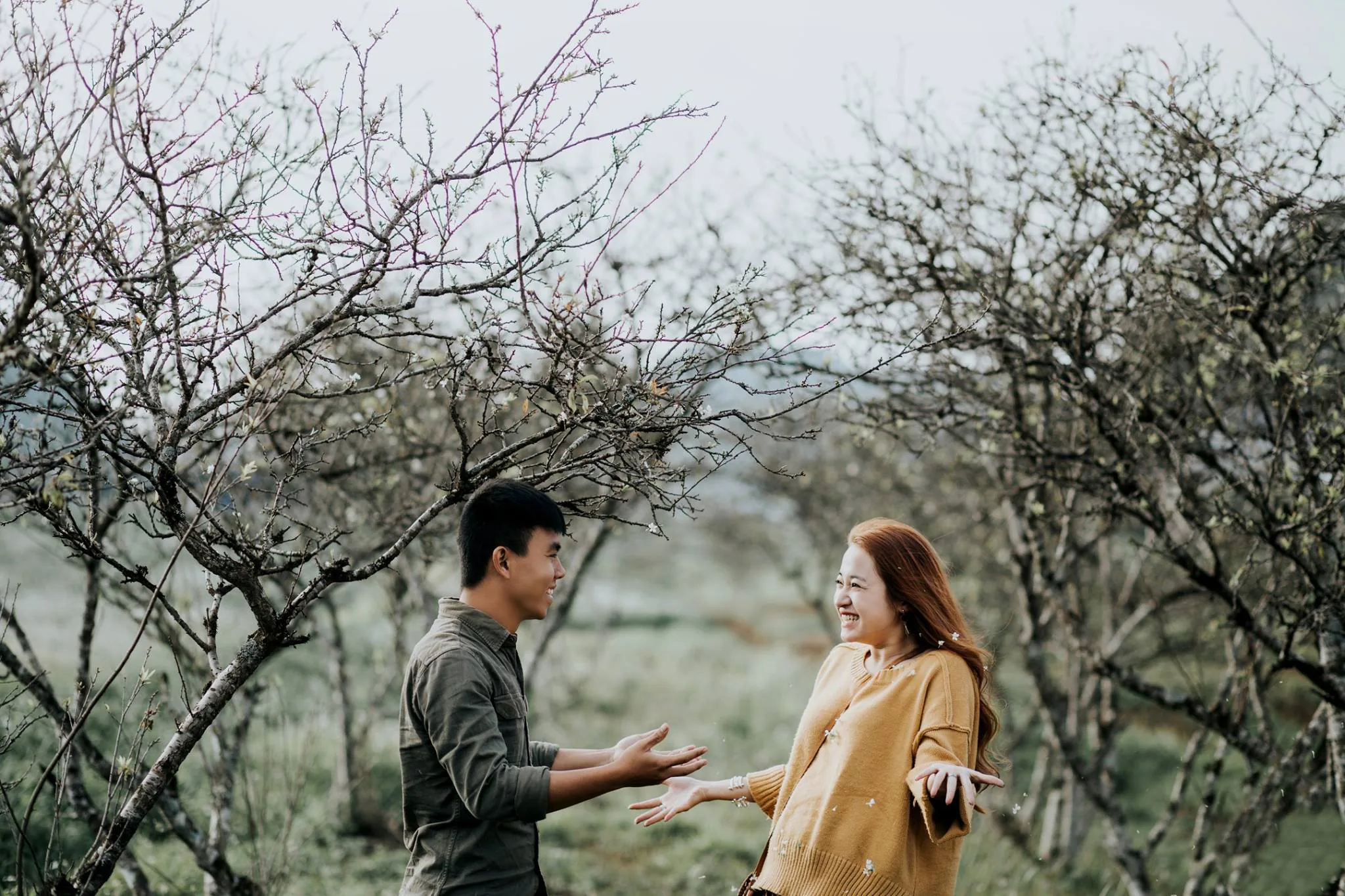 Chia sẻ Preset đẹp cho Lightroom ngày 04/08/2017