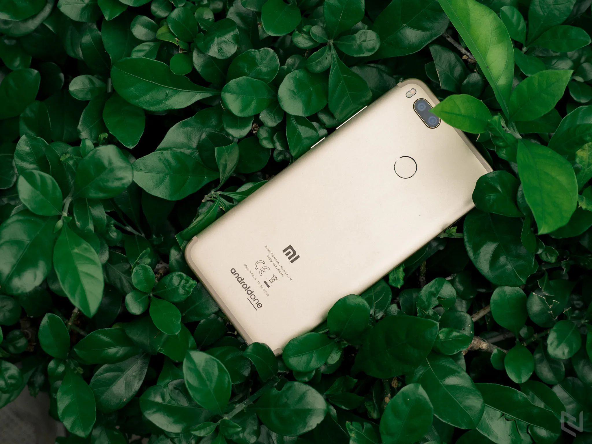 Đánh giá chi tiết Xiaomi Mi A1: Sức hút đến từ bên trong