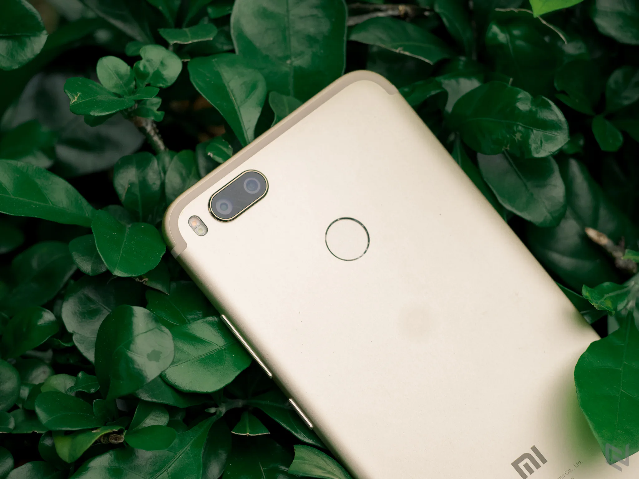 Đánh giá chi tiết Xiaomi Mi A1: Sức hút đến từ bên trong