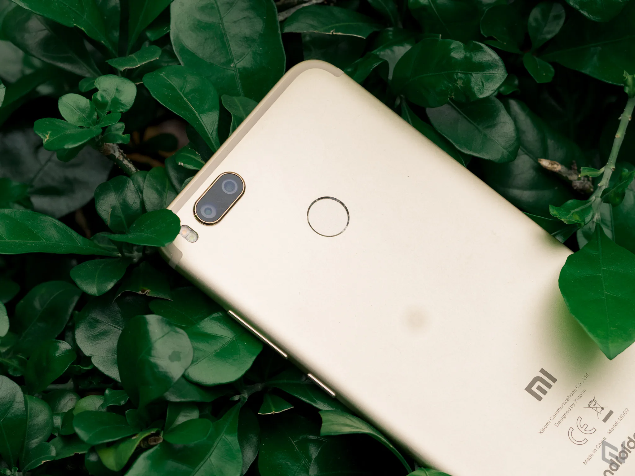 Đánh giá chi tiết Xiaomi Mi A1: Sức hút đến từ bên trong