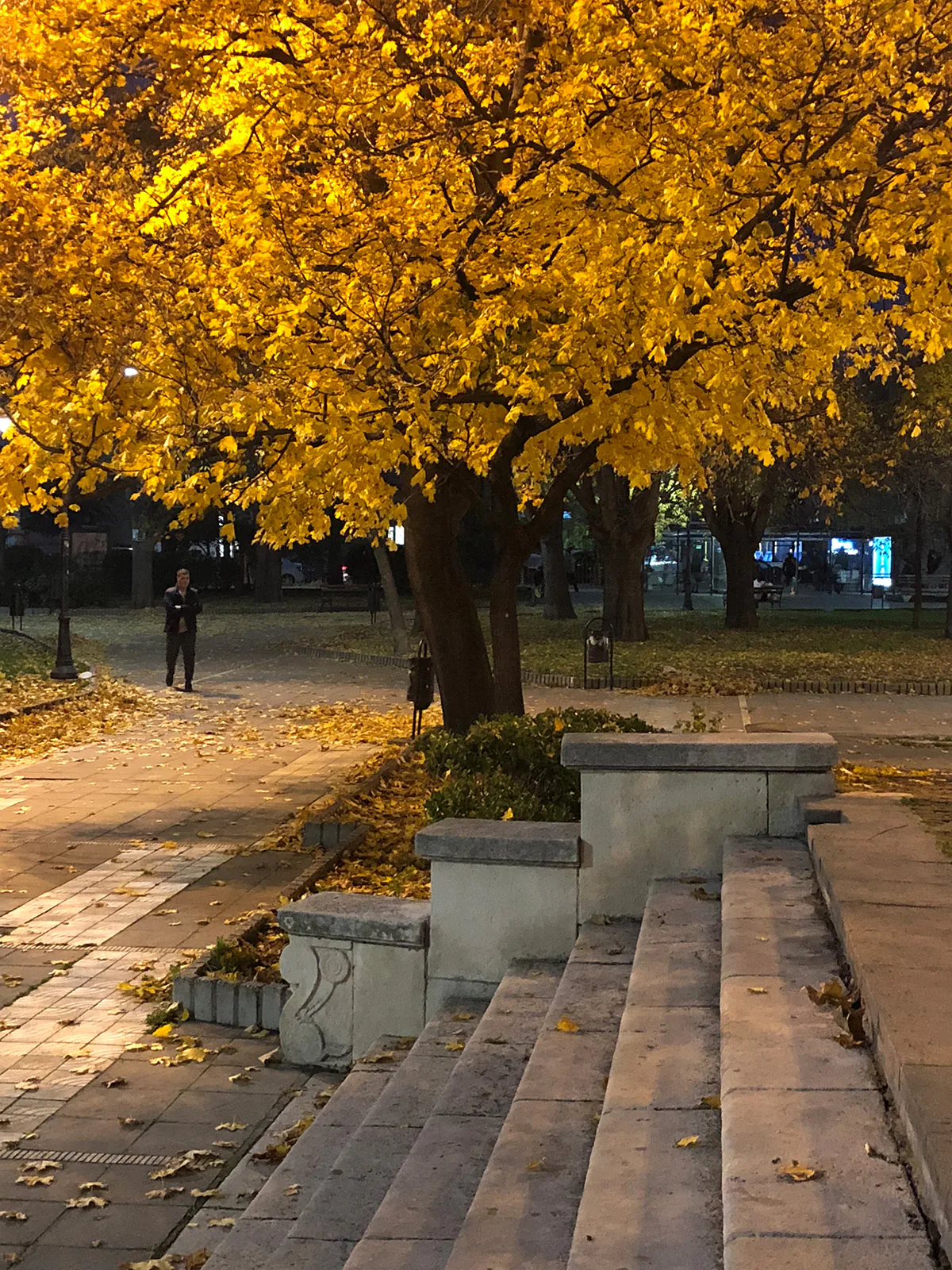 So sánh chi tiết camera Apple iPhone X vs Samsung Galaxy Note 8
