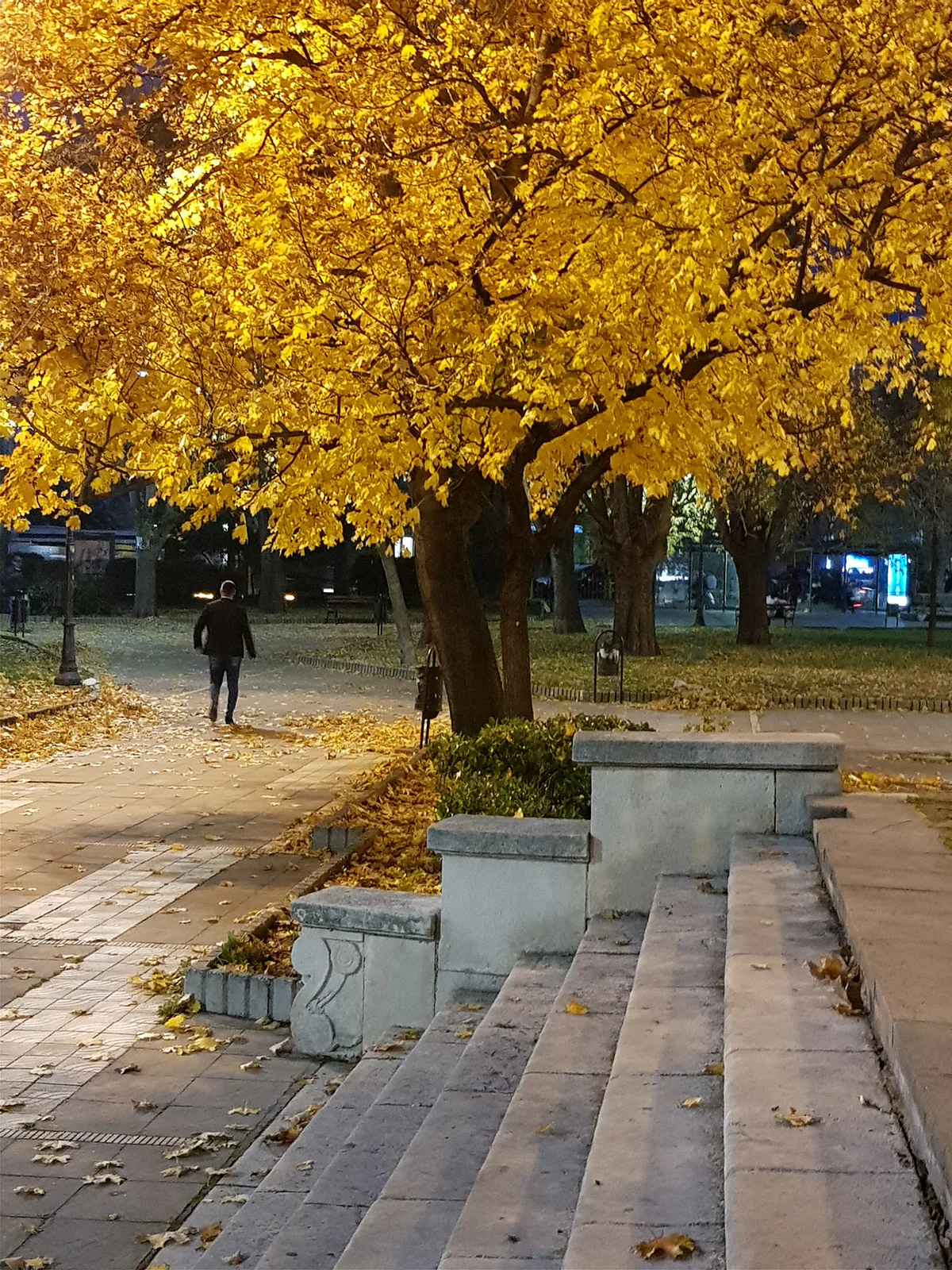 So sánh chi tiết camera Apple iPhone X vs Samsung Galaxy Note 8