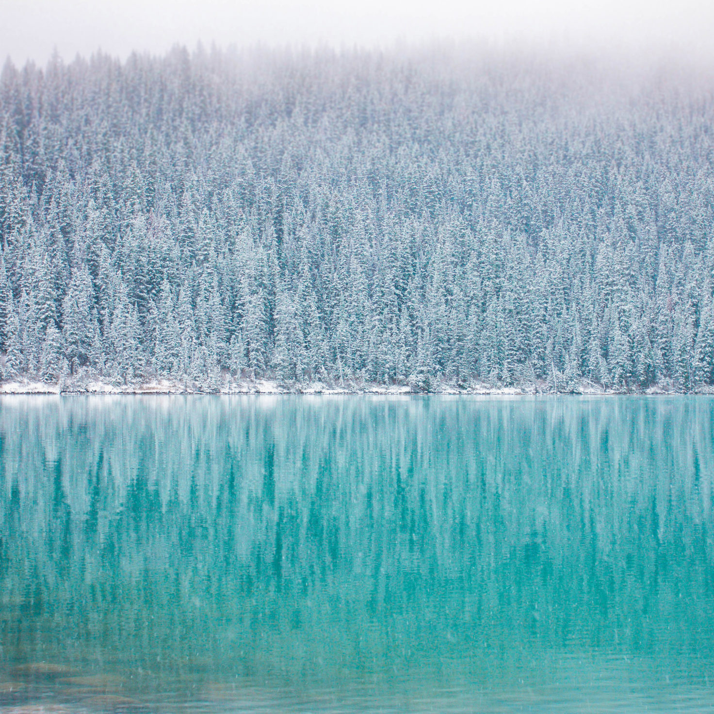 Ảnh nền đẹp, chất lượng cao: Phong cảnh mùa đông