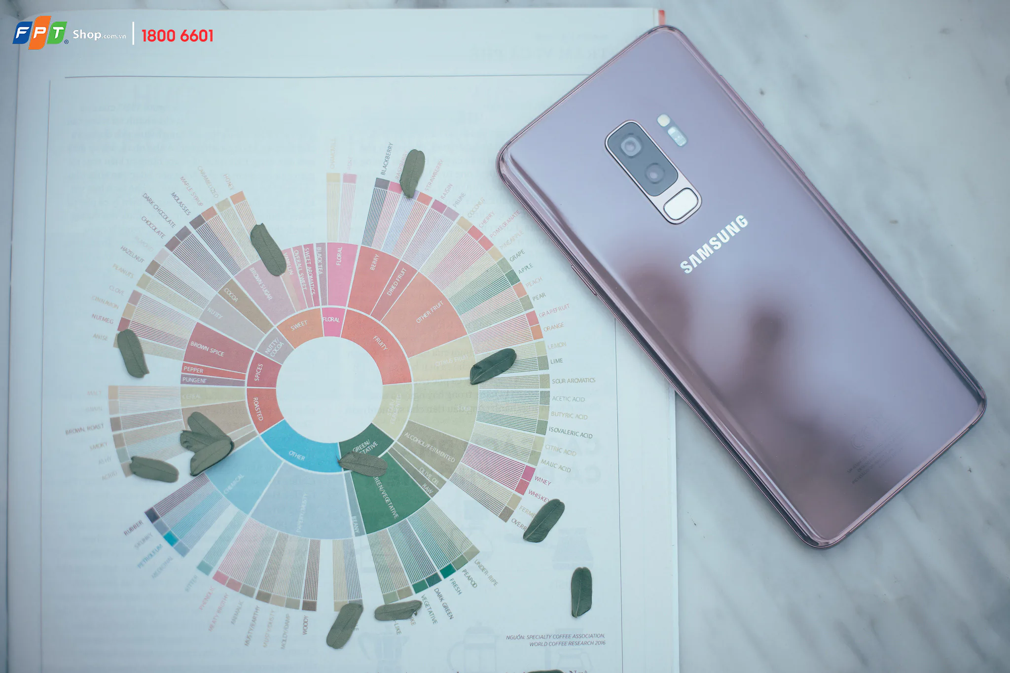 Samsung Galaxy S9+ 128GB màu tím lí lắc bắt đầu được bán ra độc quyền tại FPT Shop