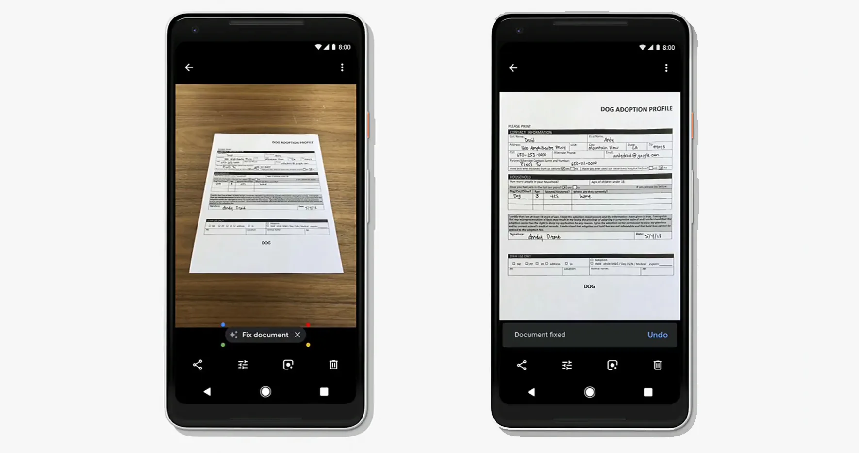 Cập nhật mới Google Photos: Thêm AI cùng nhiều tính năng ấn tượng