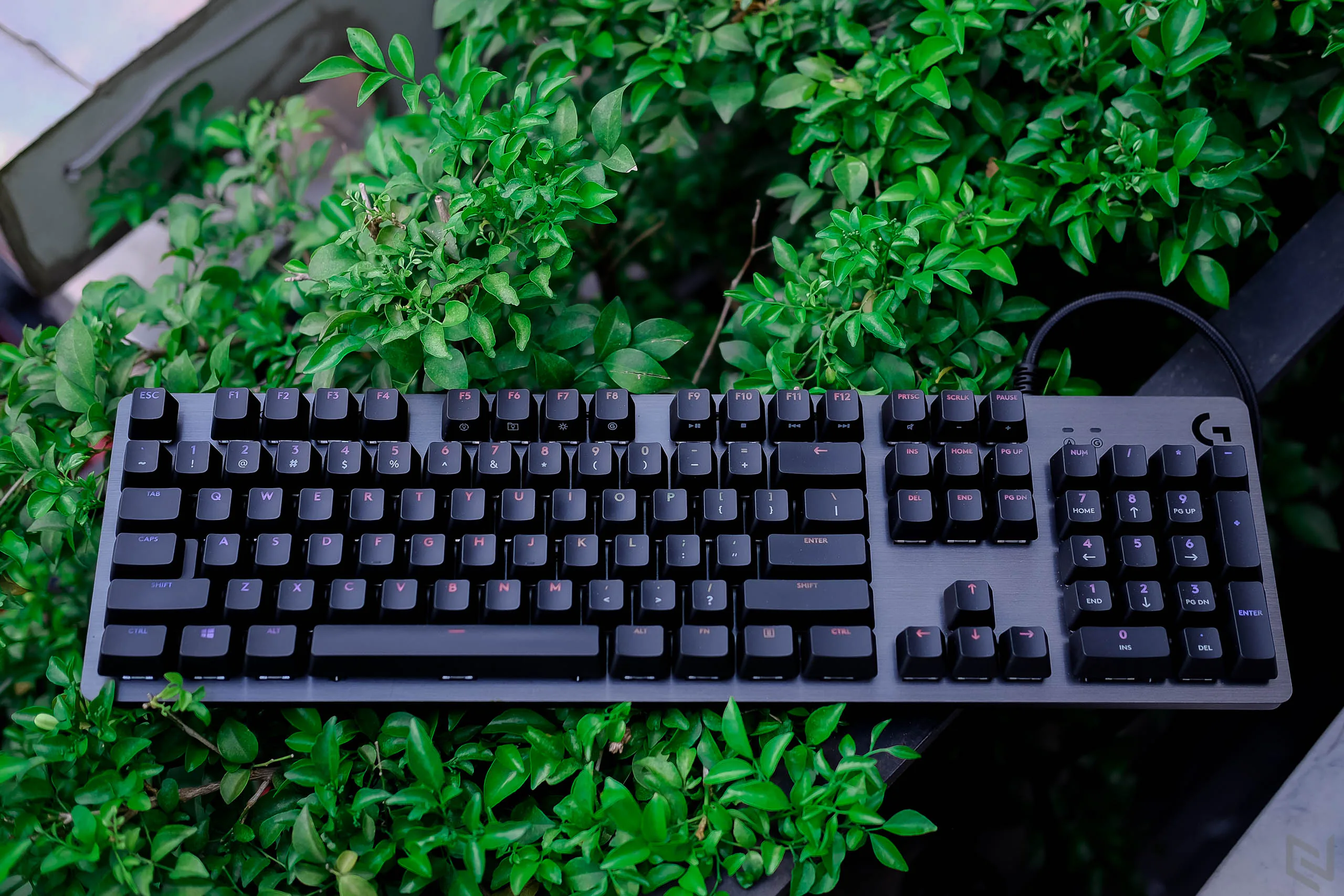 Yêu ngay từ cái nhìn đầu, đó chính là chiếc bàn phím cơ Logitech G512 Carbon GX-Blue
