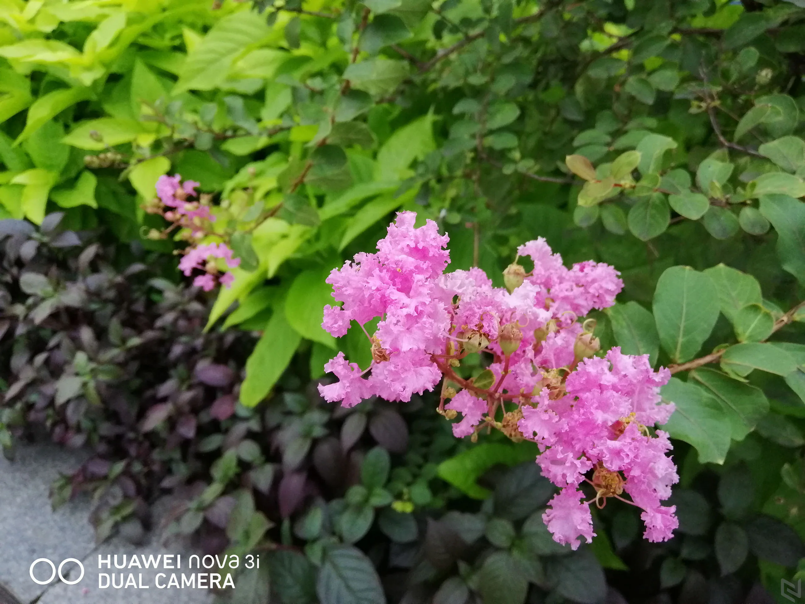 Huawei Nova 3i - Khi AI trở thành xu hướng, liệu nó có thực sự giúp bạn có một bức ảnh đẹp?