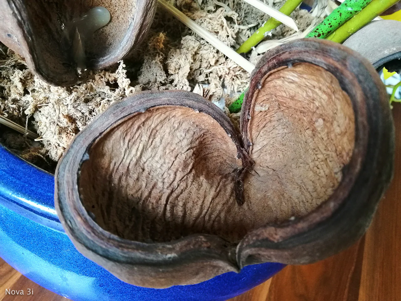 So sánh camera Samsung Galaxy J8 và Huawei Nova 3i