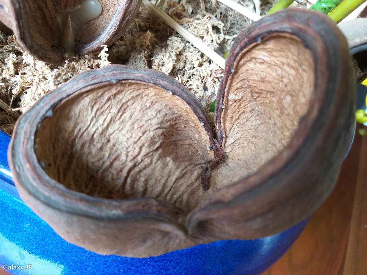 So sánh camera Samsung Galaxy J8 và Huawei Nova 3i