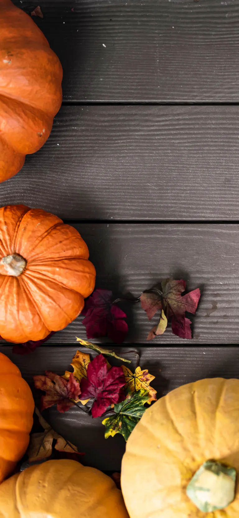 Ảnh nền đẹp chất lượng cao: Bí ngô và Halloween