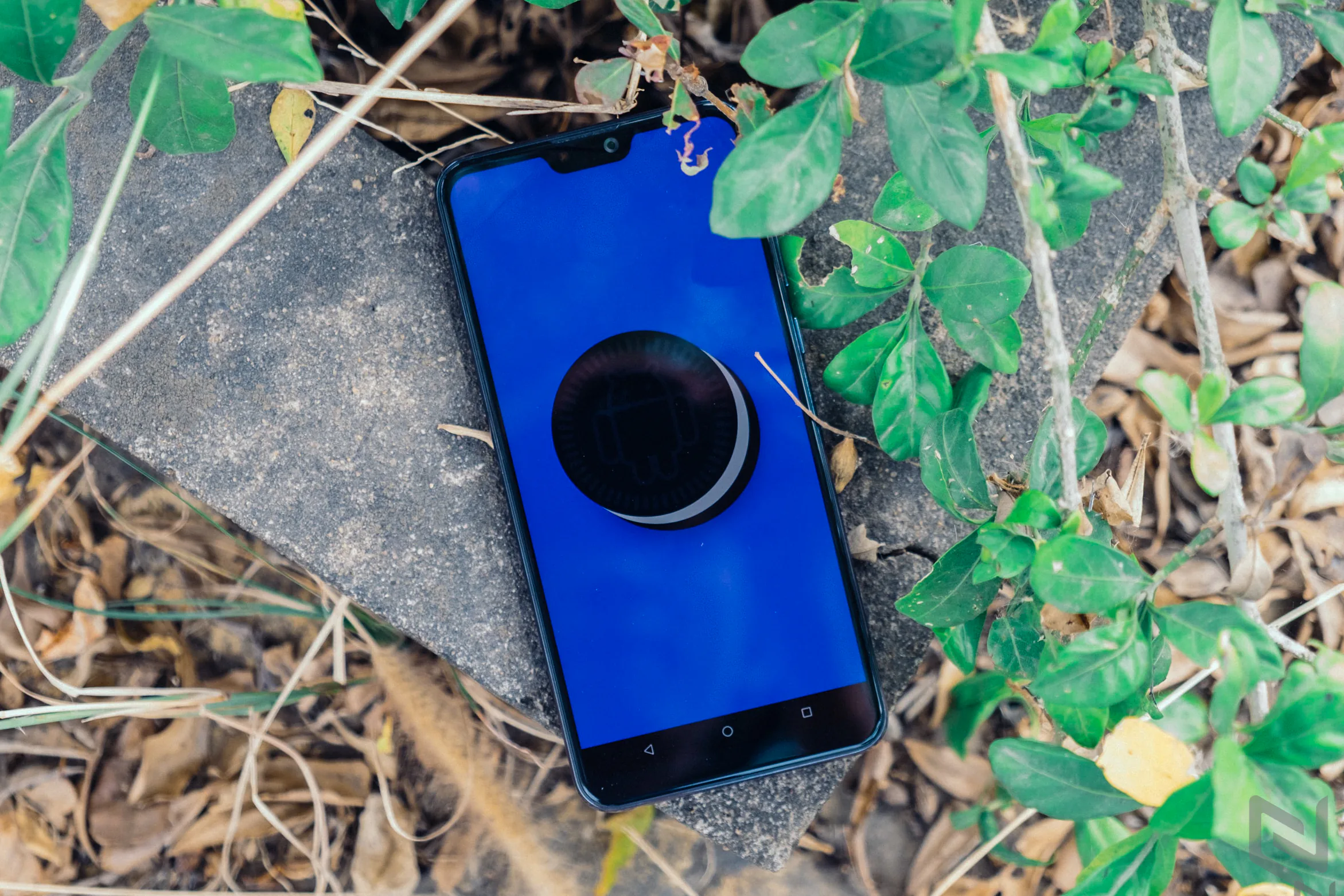 Đánh giá ASUS Zenfone Max Pro M2: Vẫn là lựa chọn đáng quan tâm trong phân khúc