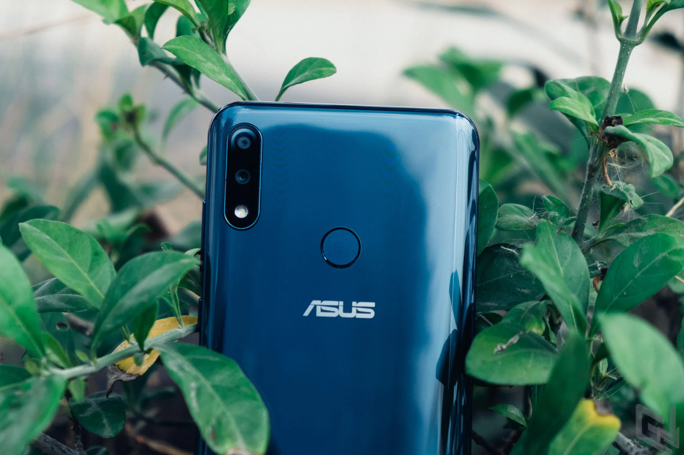 Đánh giá ASUS Zenfone Max Pro M2: Vẫn là lựa chọn đáng quan tâm trong phân khúc