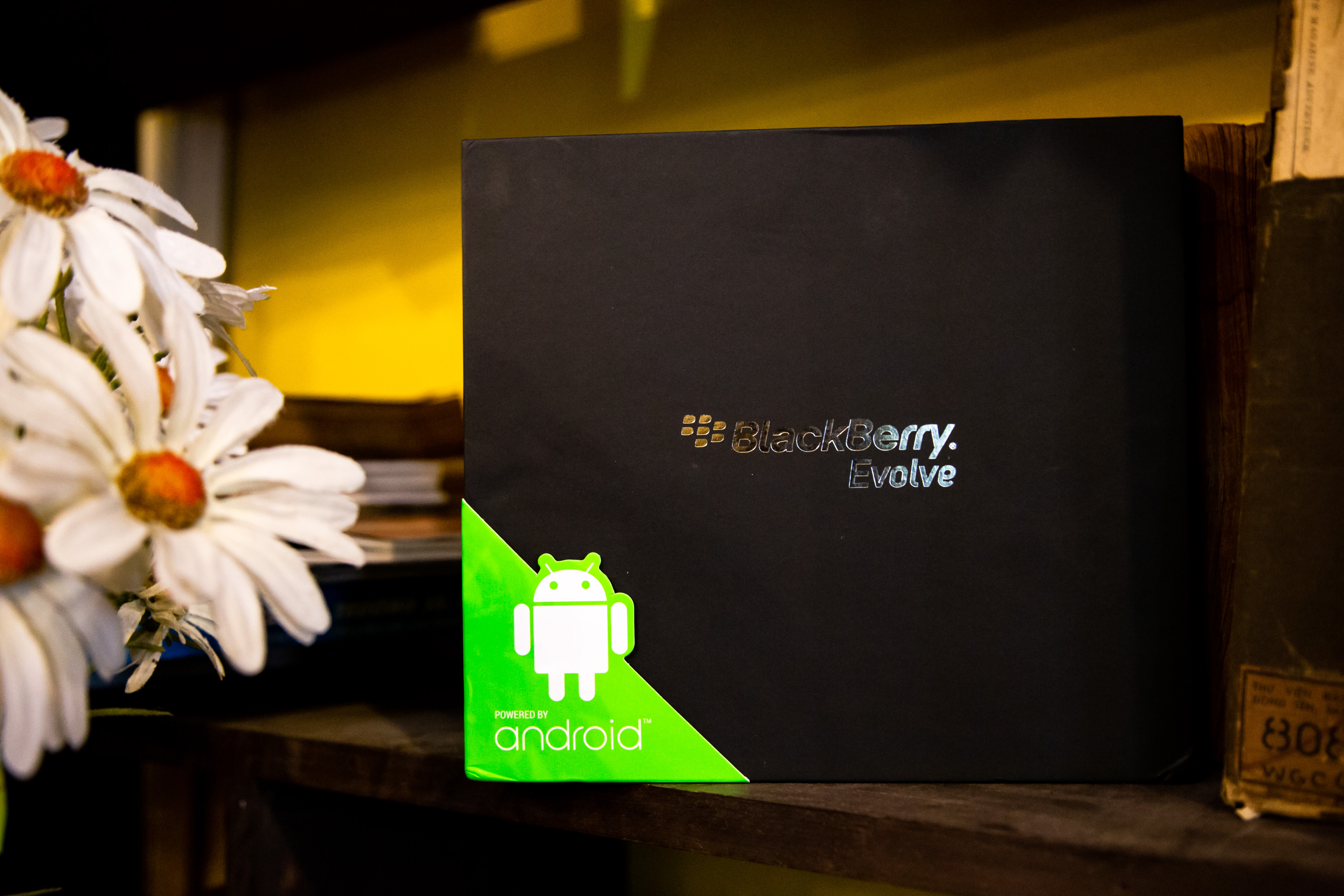 BlackBerry Evolve sắp được bán ở thị trường Việt Nam?