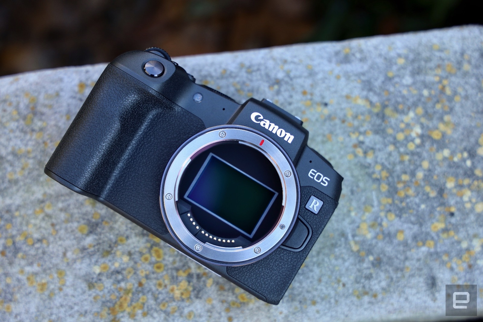 Canon sẽ ra mắt một chiếc máy ảnh full frame EOS R giá dưới 999 USD vào năm sau
