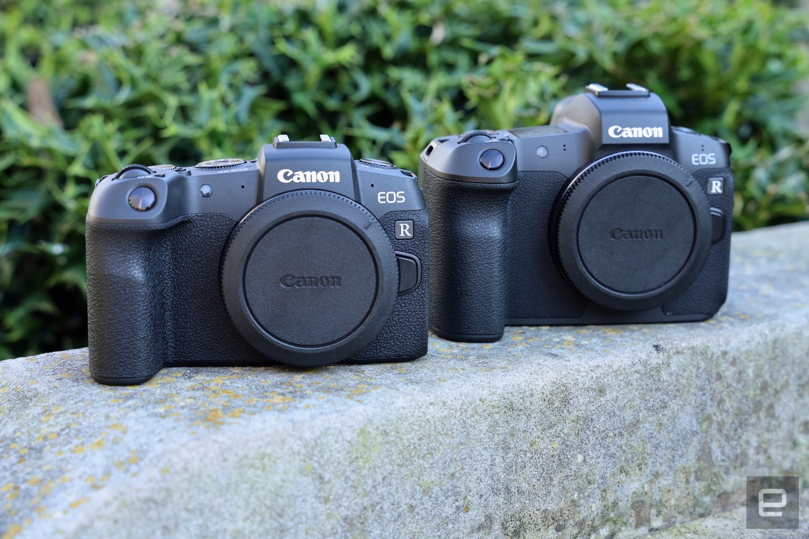 Canon sẽ ra mắt một chiếc máy ảnh full frame EOS R giá dưới 999 USD vào năm sau