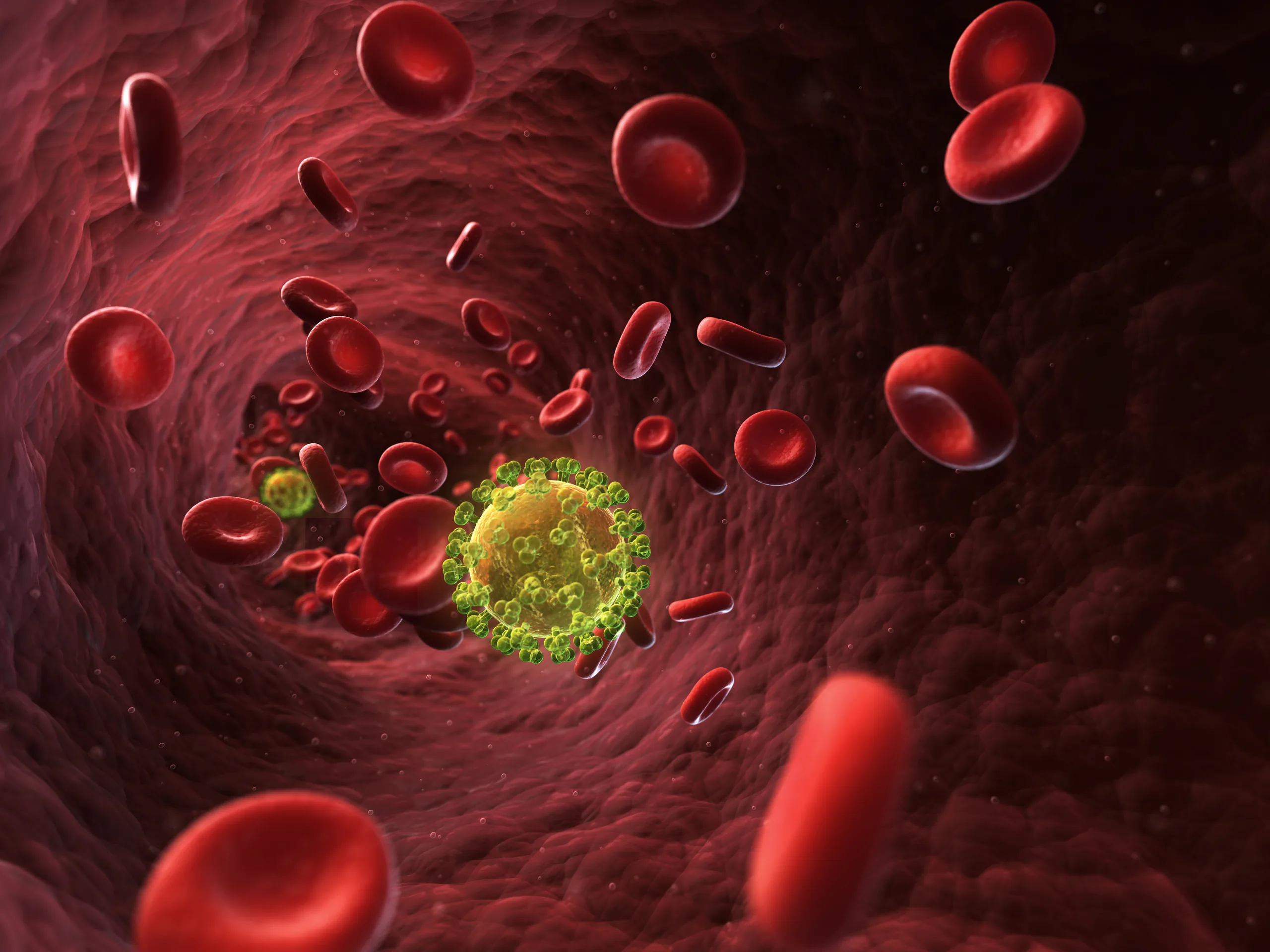 "Bệnh nhân Luân Đôn", người thứ hai trên thế giới đã loại bỏ vi-rút Aids nhờ vào cấy ghép tủy xương