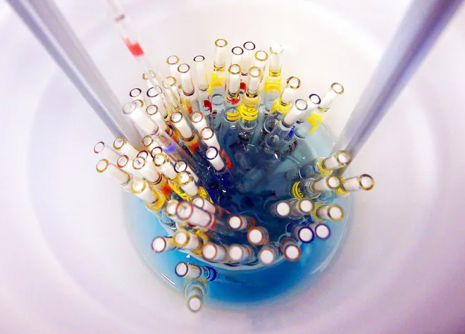 Công nghệ CRISPR đã có thể chỉnh sửa 13,000 ký tự gen cùng lúc, cho phép chữa trị các bị di truyền, tạo ra giống loài mới