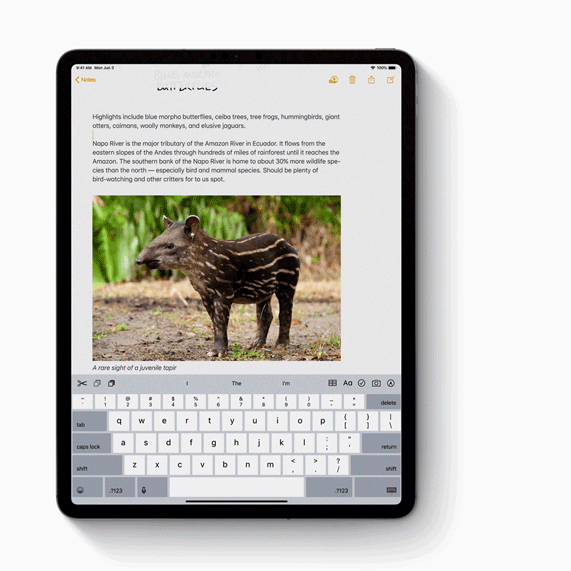 iPadOS: giờ đây iPad Pro mới chính thức đối đầu với laptop