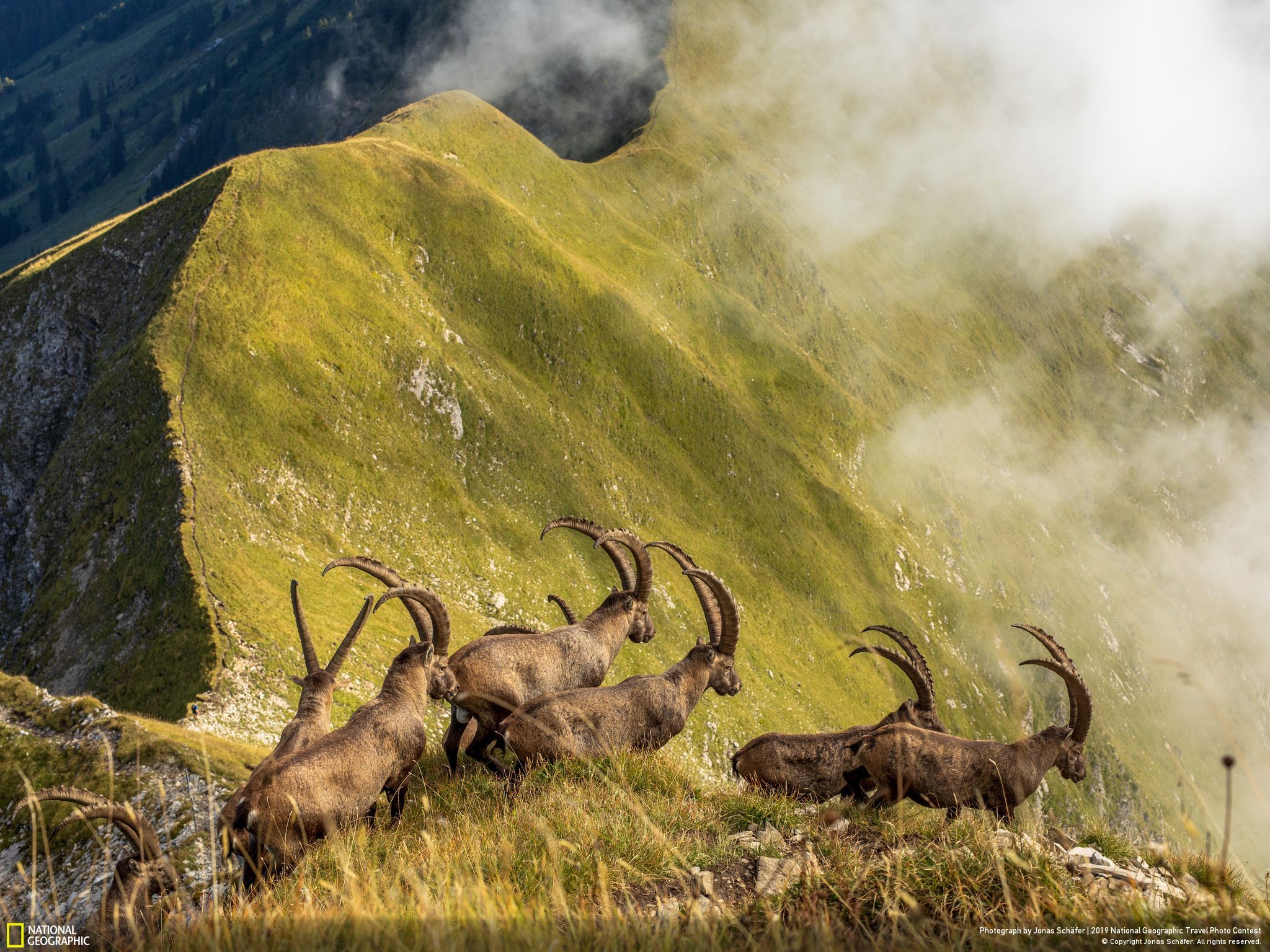 Ngắm nhìn những bức ảnh đoạt giải cuộc thi ảnh 2019 Travel Photographer of the Year được National Geographic bầu chọn