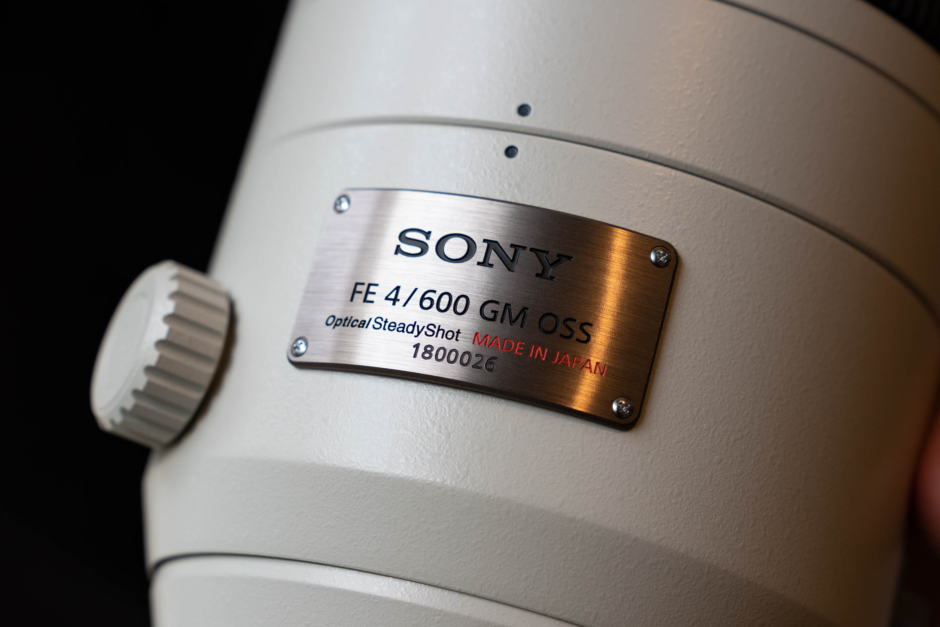 Sony FE 600mm F4 GM OSS va FE 200-600mm F5.6-6.3 G OSS
