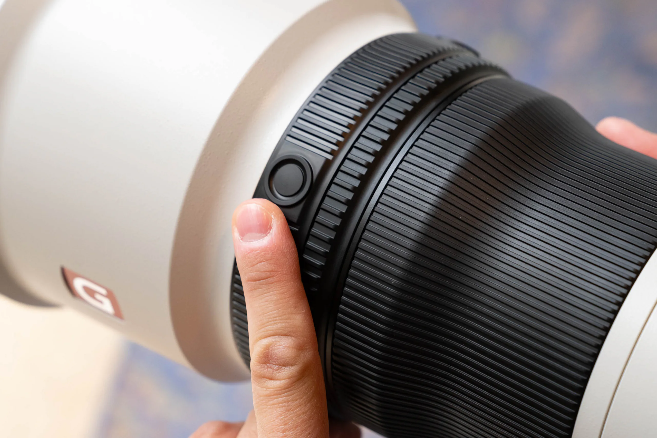 Sony FE 600mm F4 GM OSS va FE 200-600mm F5.6-6.3 G OSS